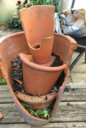 Fairy/mini garden work in progress add pots and soil 